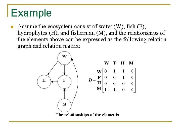 Example n Assume the ecosystem consist of water (W), fish (F), hydrophytes (H), and