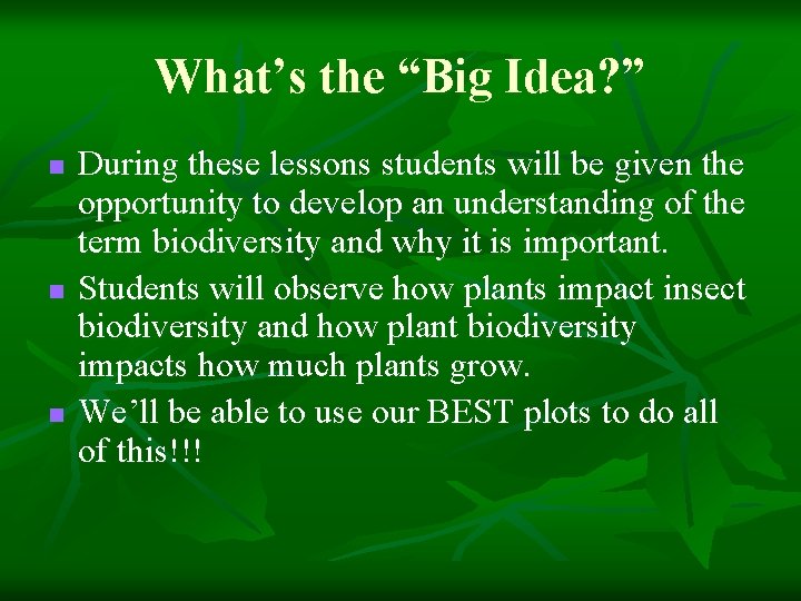What’s the “Big Idea? ” n n n During these lessons students will be