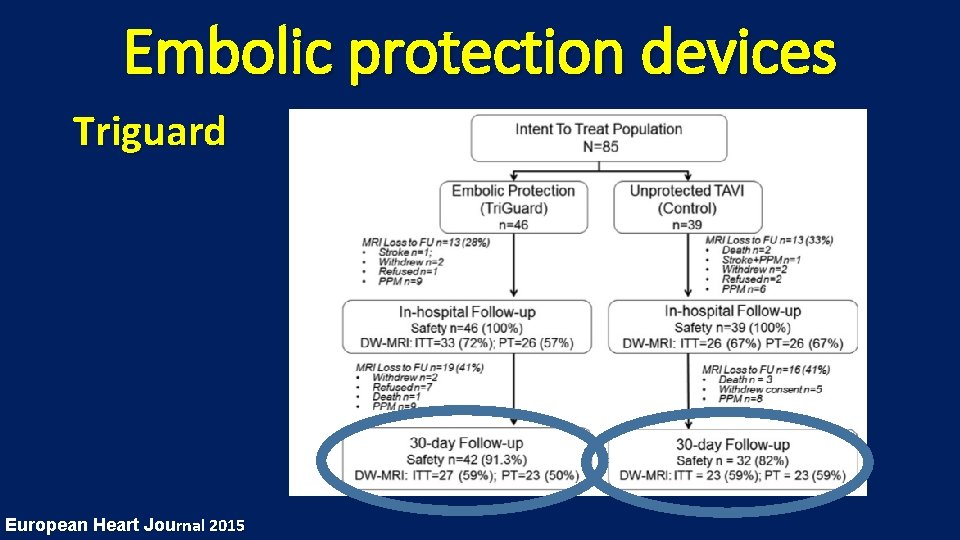 Embolic protection devices Triguard European Heart Journal 2015 
