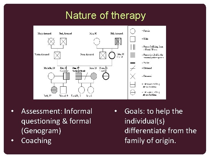 Nature of therapy • Assessment: Informal questioning & formal (Genogram) • Coaching • Goals: