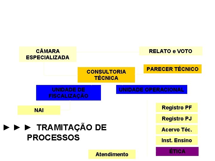 C MARA ESPECIALIZADA RELATO e VOTO CONSULTORIA TÉCNICA UNIDADE DE FISCALIZAÇÃO PARECER TÉCNICO UNIDADE