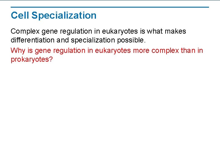 Cell Specialization Complex gene regulation in eukaryotes is what makes differentiation and specialization possible.