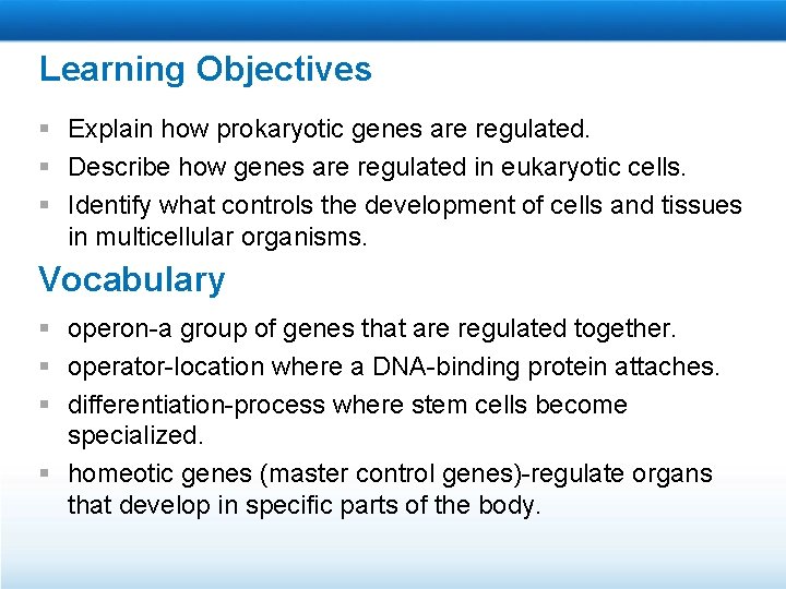 Learning Objectives § Explain how prokaryotic genes are regulated. § Describe how genes are