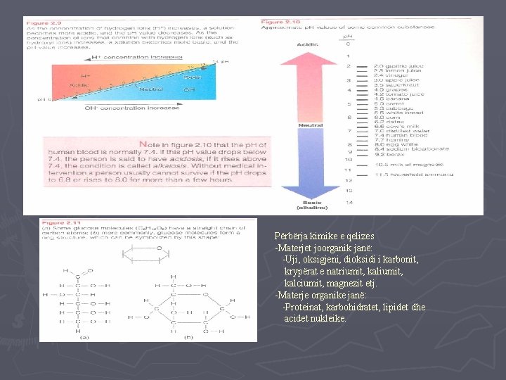 Përbërja kimike e qelizes -Materjet joorganik janë: -Uji, oksigjeni, dioksidi i karbonit, krypërat e
