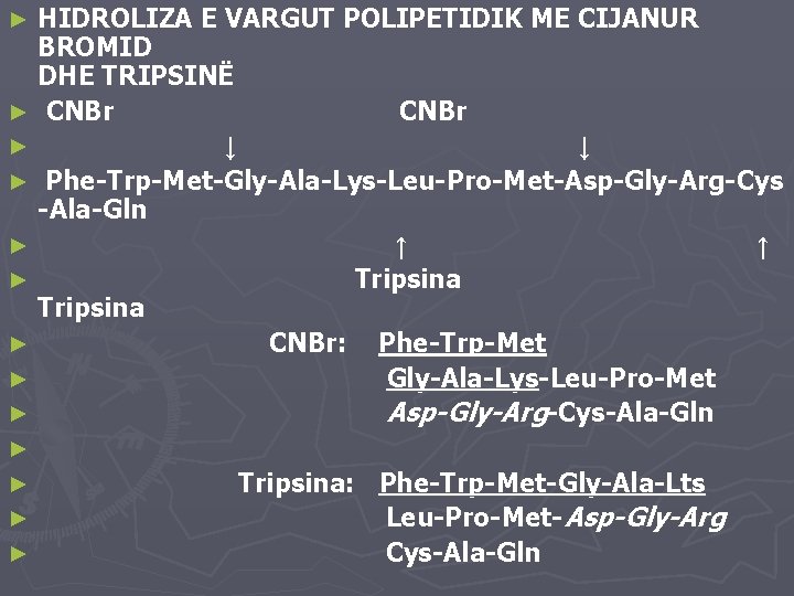 HIDROLIZA E VARGUT POLIPETIDIK ME CIJANUR BROMID DHE TRIPSINË ► CNBr CNBr ► ↓