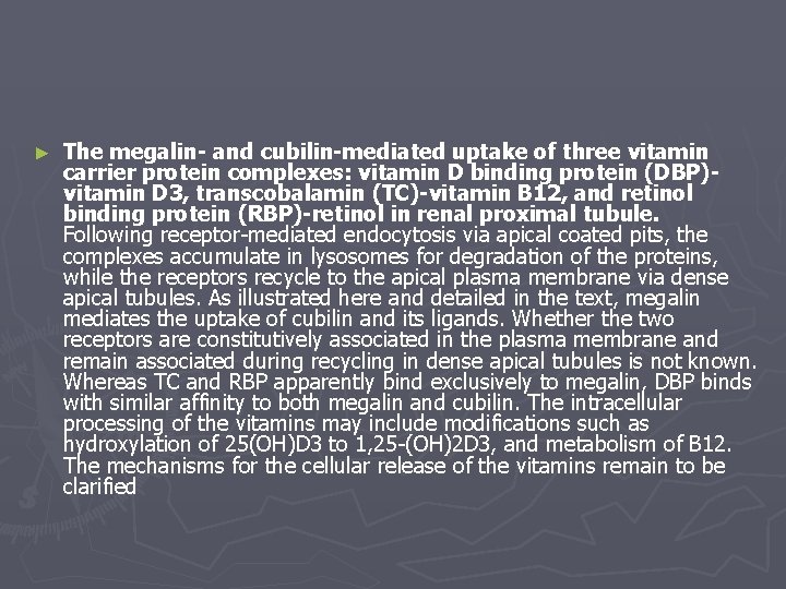 ► The megalin- and cubilin-mediated uptake of three vitamin carrier protein complexes: vitamin D