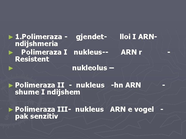 ► 1. Polimeraza - gjendet- lloi I ARN- ndijshmeria ► Polimeraza I nukleus-- ARN