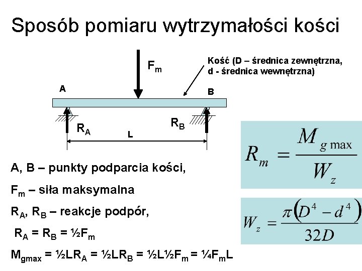 Sposób pomiaru wytrzymałości kości Kość (D – średnica zewnętrzna, d - średnica wewnętrzna) Fm