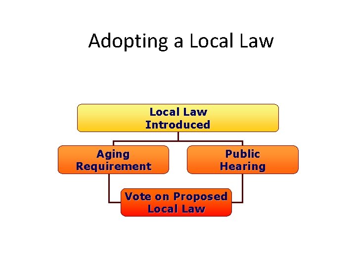 Adopting a Local Law Introduced Aging Requirement Public Hearing Vote on Proposed Local Law