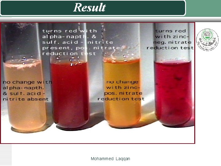 Result Mohammed Laqqan 