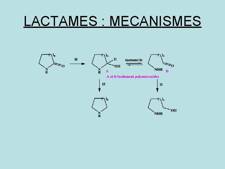 LACTAMES : MECANISMES 