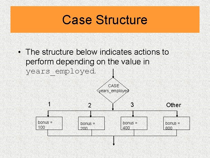 Case Structure • The structure below indicates actions to perform depending on the value