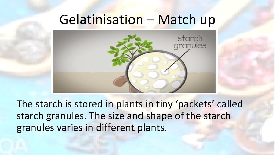 Gelatinisation – Match up The starch is stored in plants in tiny ‘packets’ called