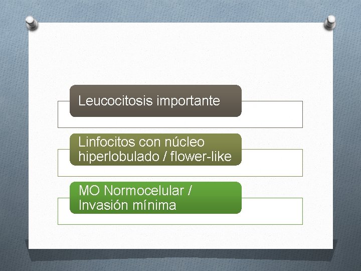 Leucocitosis importante Linfocitos con núcleo hiperlobulado / flower-like MO Normocelular / Invasión mínima 