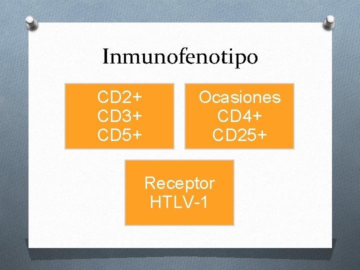 Inmunofenotipo CD 2+ CD 3+ CD 5+ Ocasiones CD 4+ CD 25+ Receptor HTLV-1