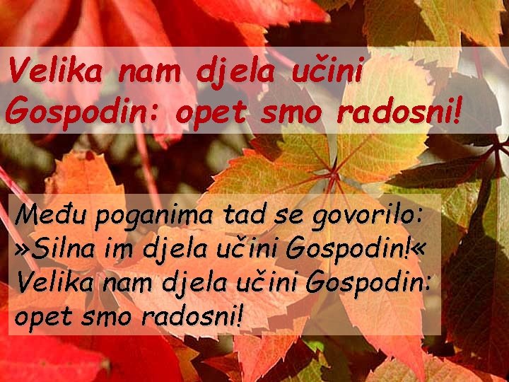 Velika nam djela učini Gospodin: opet smo radosni! Među poganima tad se govorilo: »