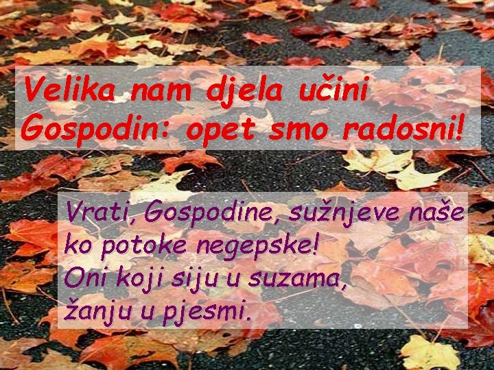 Velika nam djela učini Gospodin: opet smo radosni! Vrati, Gospodine, sužnjeve naše ko potoke