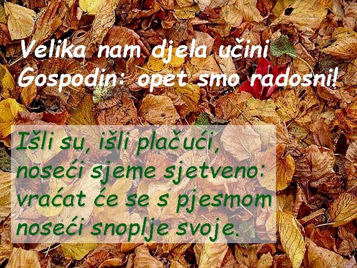 Velika nam djela učini Gospodin: opet smo radosni! Išli su, išli plačući, noseći sjeme