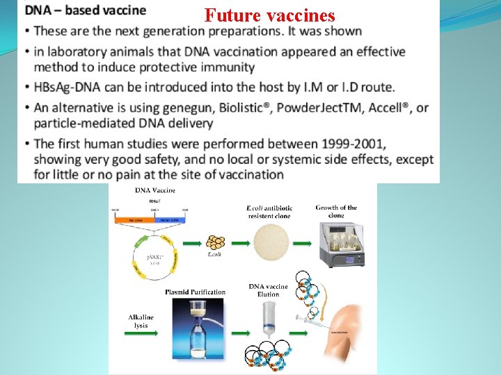 Future vaccines 