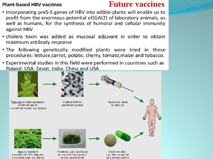 Future vaccines 
