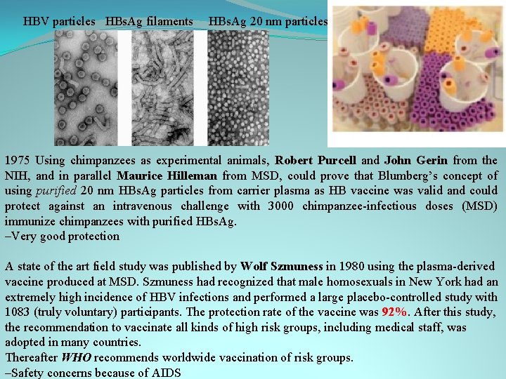 HBV particles HBs. Ag filaments HBs. Ag 20 nm particles 1975 Using chimpanzees as