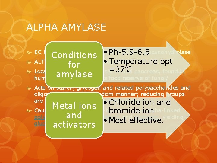 ALPHA AMYLASE EC NUMBER: 3. 2. 1. 1 is 1, 4 -a-D-Glucan glucanohydrolase •