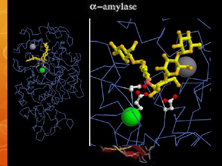 STRUCTURE 679 amino acid residues with a molecular weight of 75112 residues It has