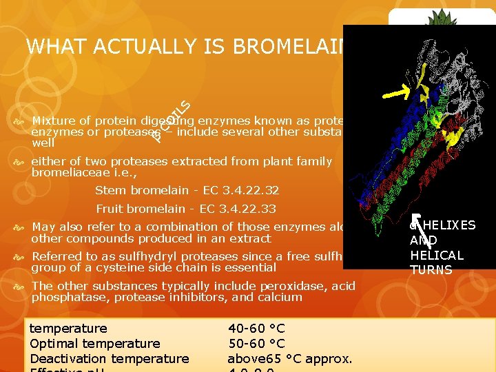 CO IL S WHAT ACTUALLY IS BROMELAIN…? ? β Mixture of protein digesting enzymes
