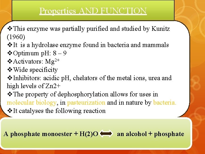 Properties AND FUNCTION v. This enzyme was partially purified and studied by Kunitz (1960)