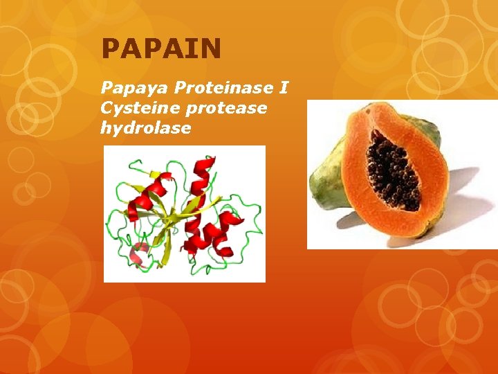 PAPAIN Papaya Proteinase I Cysteine protease hydrolase 