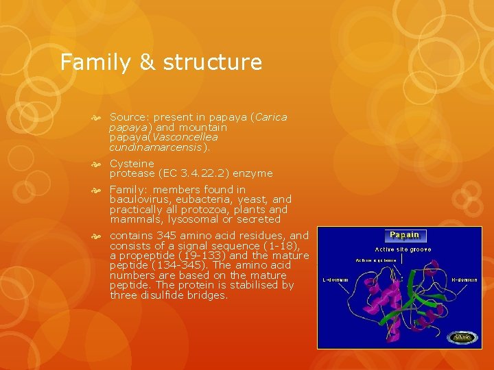 Family & structure Source: present in papaya (Carica papaya) and mountain papaya(Vasconcellea cundinamarcensis). Cysteine