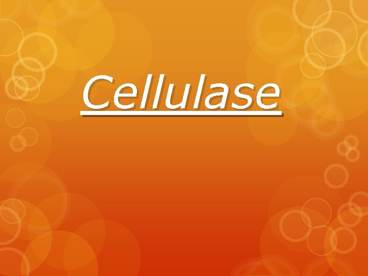 Cellulase 