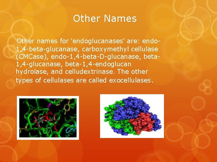 Other Names Other names for 'endoglucanases' are: endo 1, 4 -beta-glucanase, carboxymethyl cellulase (CMCase),