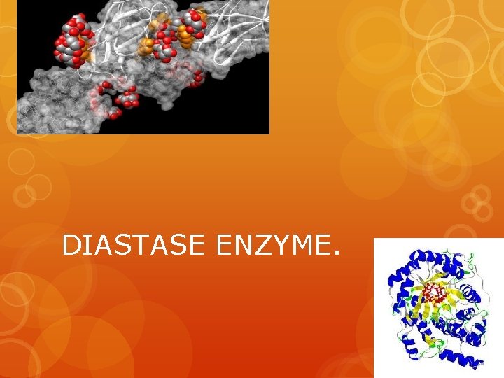 DIASTASE ENZYME. 