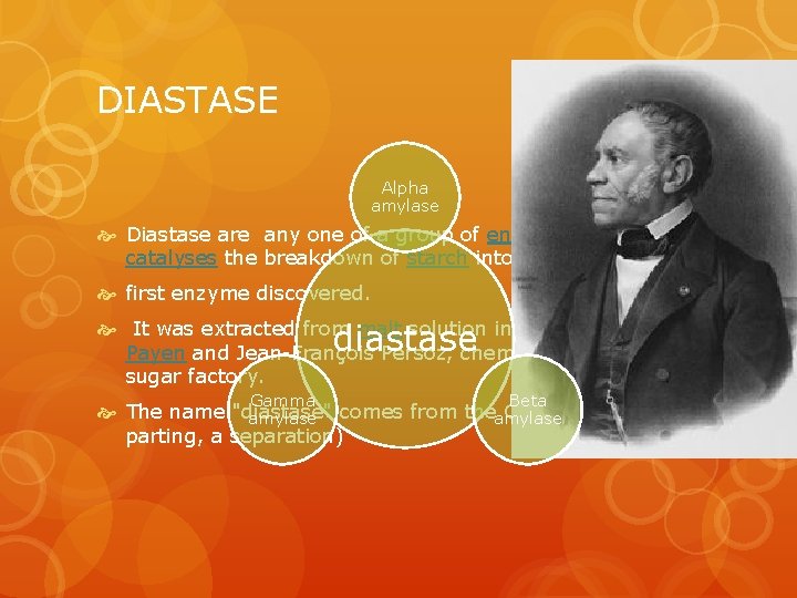 DIASTASE Alpha amylase Diastase are any one of a group of enzymes which catalyses