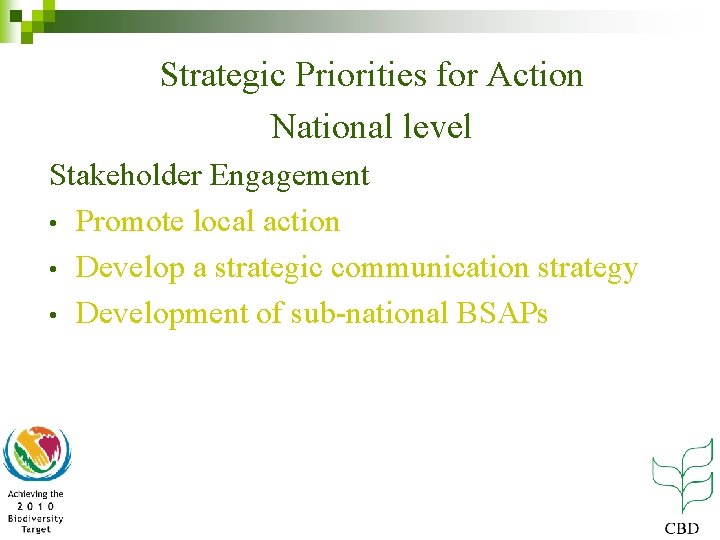 Strategic Priorities for Action National level Stakeholder Engagement • Promote local action • Develop