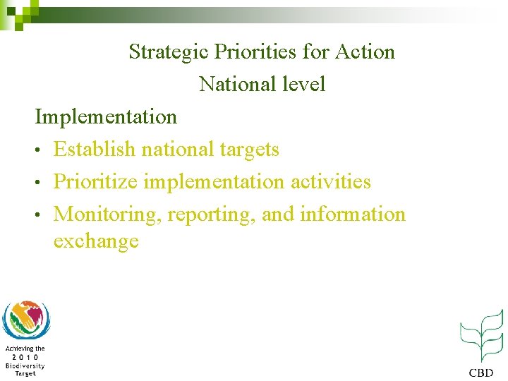 Strategic Priorities for Action National level Implementation • Establish national targets • Prioritize implementation