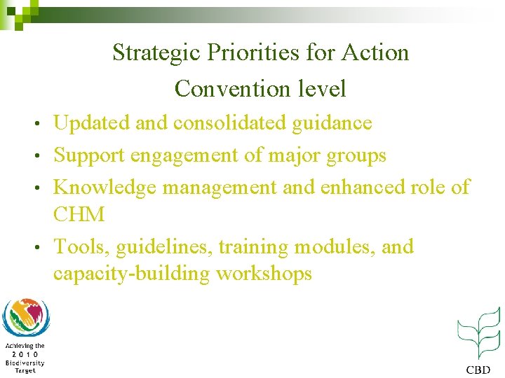 Strategic Priorities for Action Convention level Updated and consolidated guidance • Support engagement of