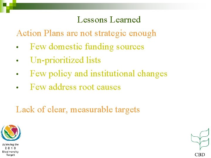 Lessons Learned Action Plans are not strategic enough • Few domestic funding sources •