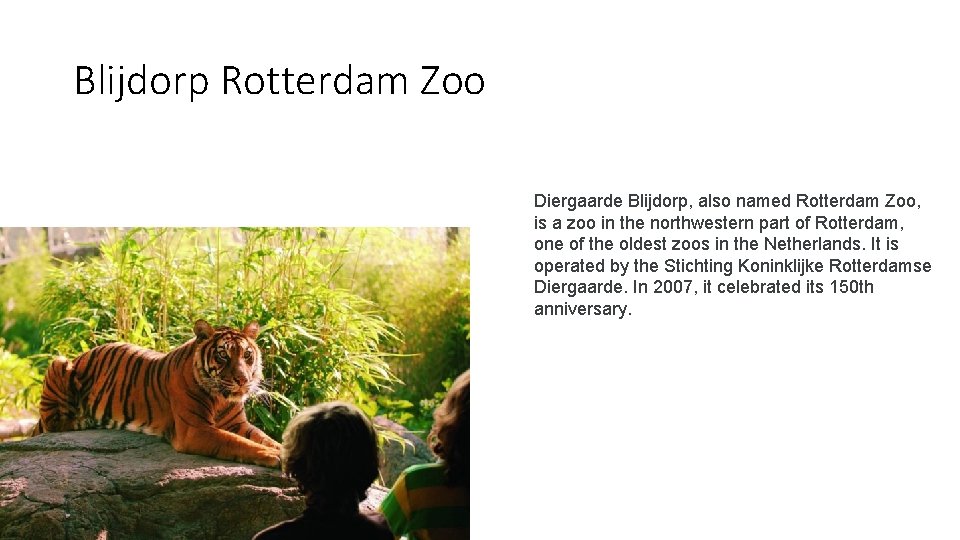 Blijdorp Rotterdam Zoo Diergaarde Blijdorp, also named Rotterdam Zoo, is a zoo in the