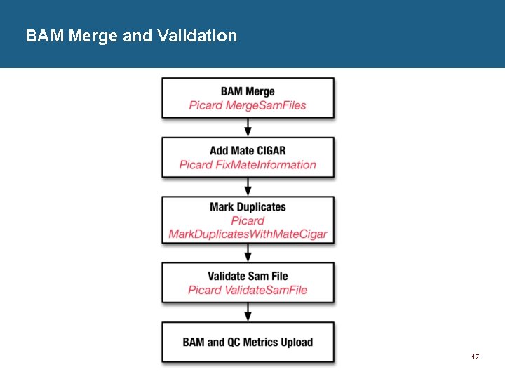 BAM Merge and Validation 17 