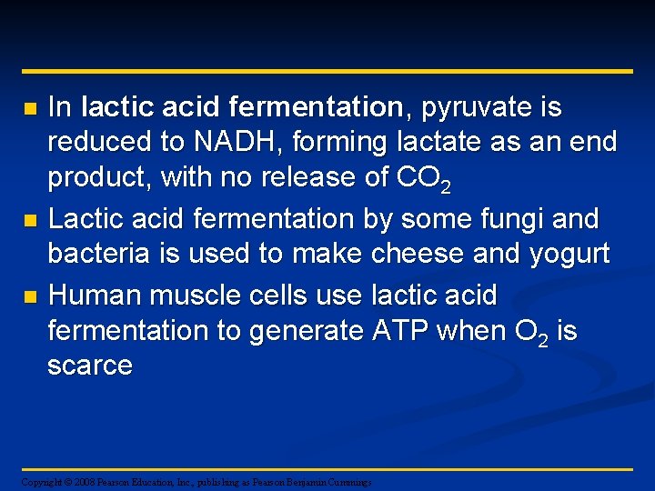 In lactic acid fermentation, pyruvate is reduced to NADH, forming lactate as an end