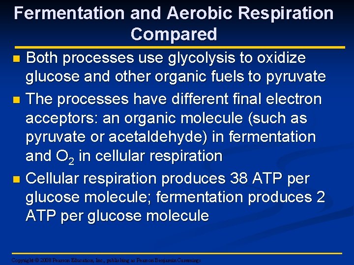 Fermentation and Aerobic Respiration Compared Both processes use glycolysis to oxidize glucose and other