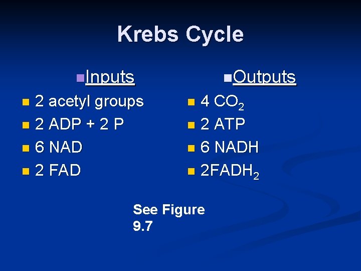 Krebs Cycle n. Inputs 2 acetyl groups n 2 ADP + 2 P n