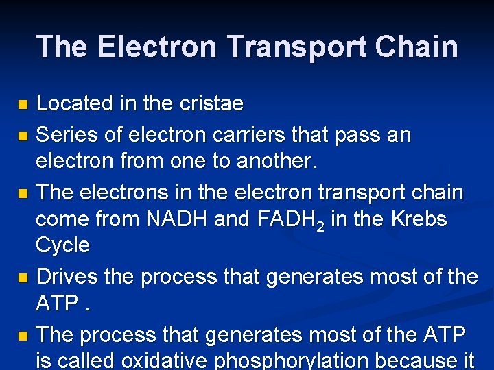 The Electron Transport Chain Located in the cristae n Series of electron carriers that