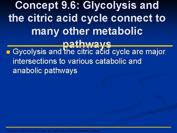 Concept 9. 6: Glycolysis and the citric acid cycle connect to many other metabolic