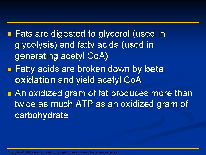 Fats are digested to glycerol (used in glycolysis) and fatty acids (used in generating