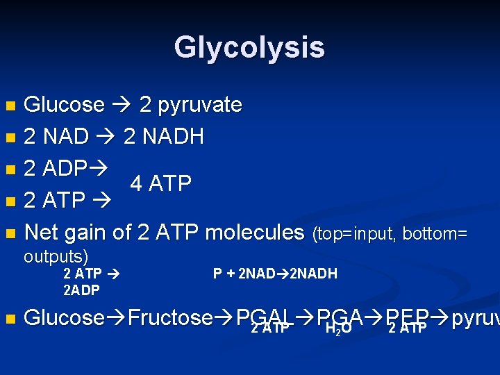 Glycolysis Glucose 2 pyruvate n 2 NADH n 2 ADP 4 ATP n 2
