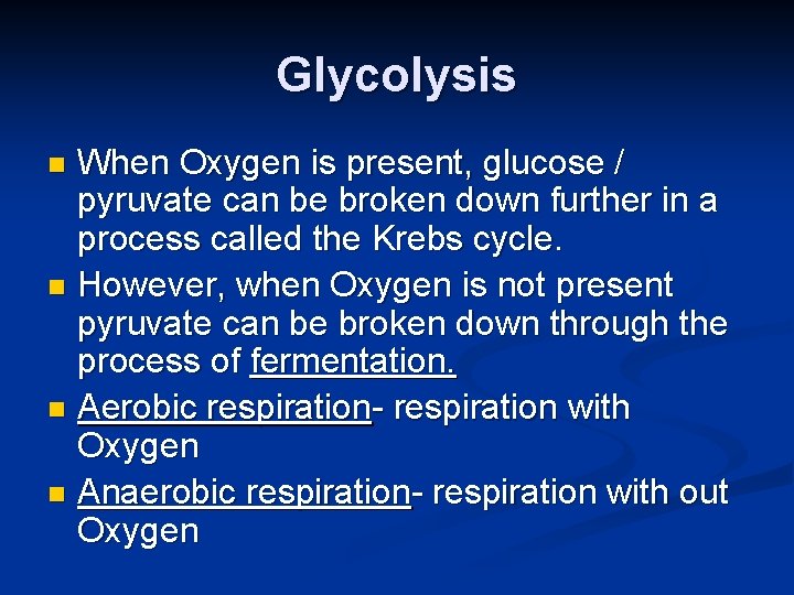 Glycolysis When Oxygen is present, glucose / pyruvate can be broken down further in