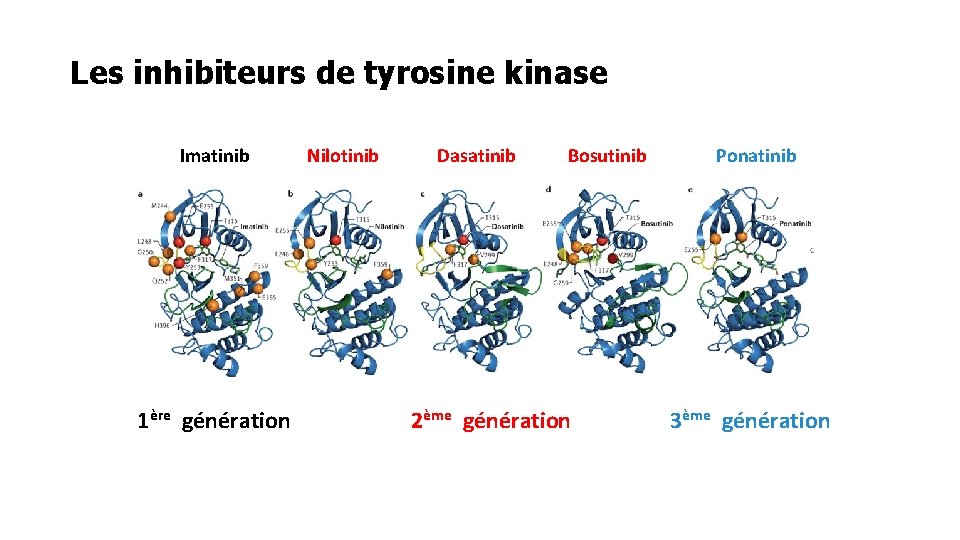Les inhibiteurs de tyrosine kinase Imatinib 1ère génération Nilotinib Dasatinib Bosutinib 2ème génération Ponatinib